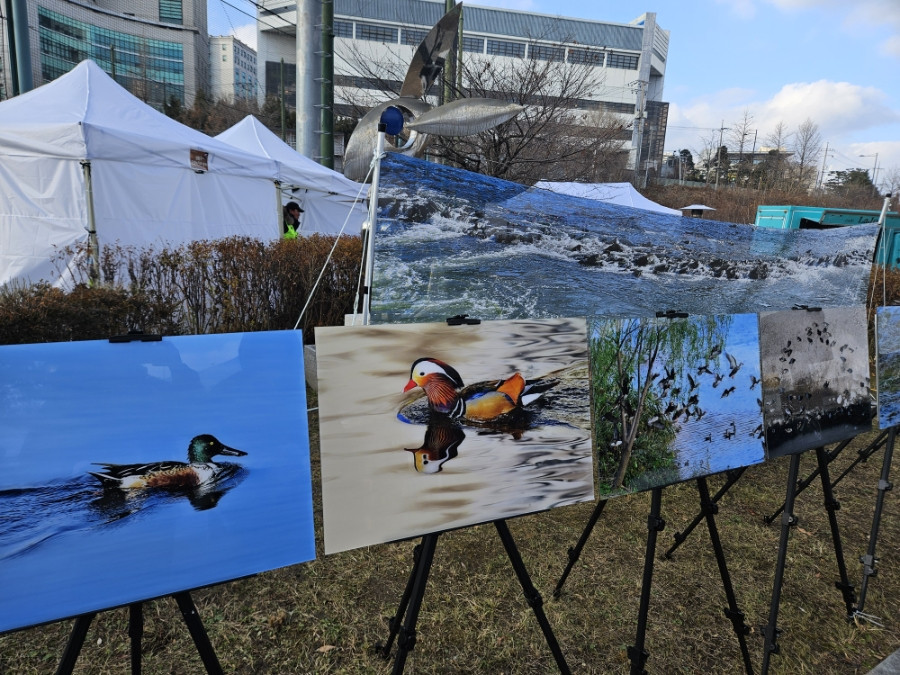[기타 장소 리뷰] 25.12.14 성동원앙축제 방문 후기