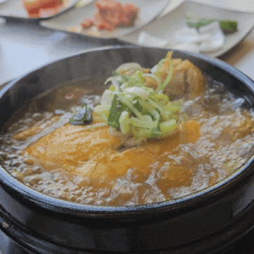 [안성] 5월 6월 가볼만한곳 ‘안성팜랜드’ 주차 카페 맛집 총정리 (내돈내산)